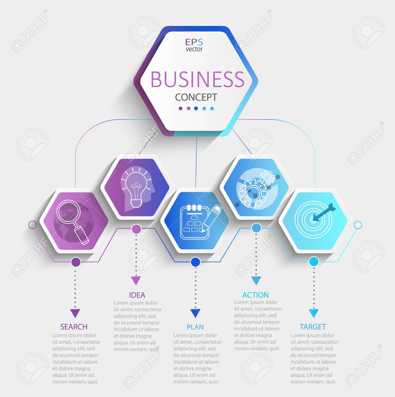 modern hexagon infographic with business timeline data visualization
