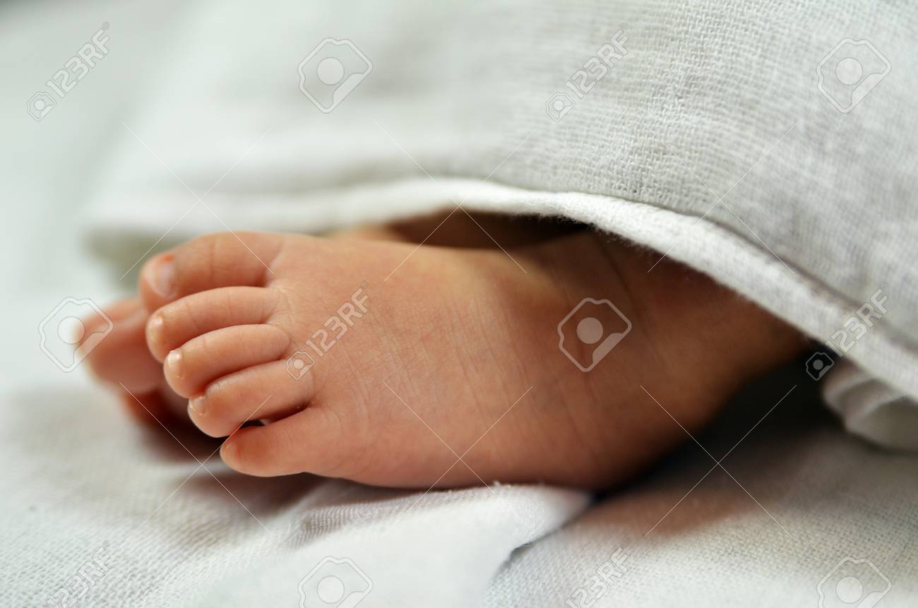 Cute Baby Feet Hiding In White Blanket Stock Photo Picture And