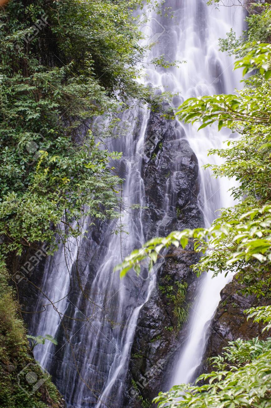 etiam-dictum-ipsum-a-felis