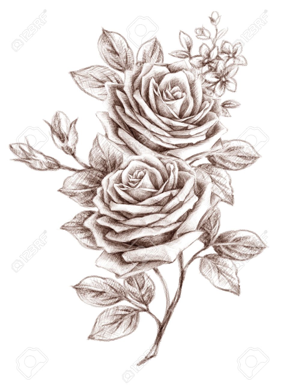 old styled rose freehand