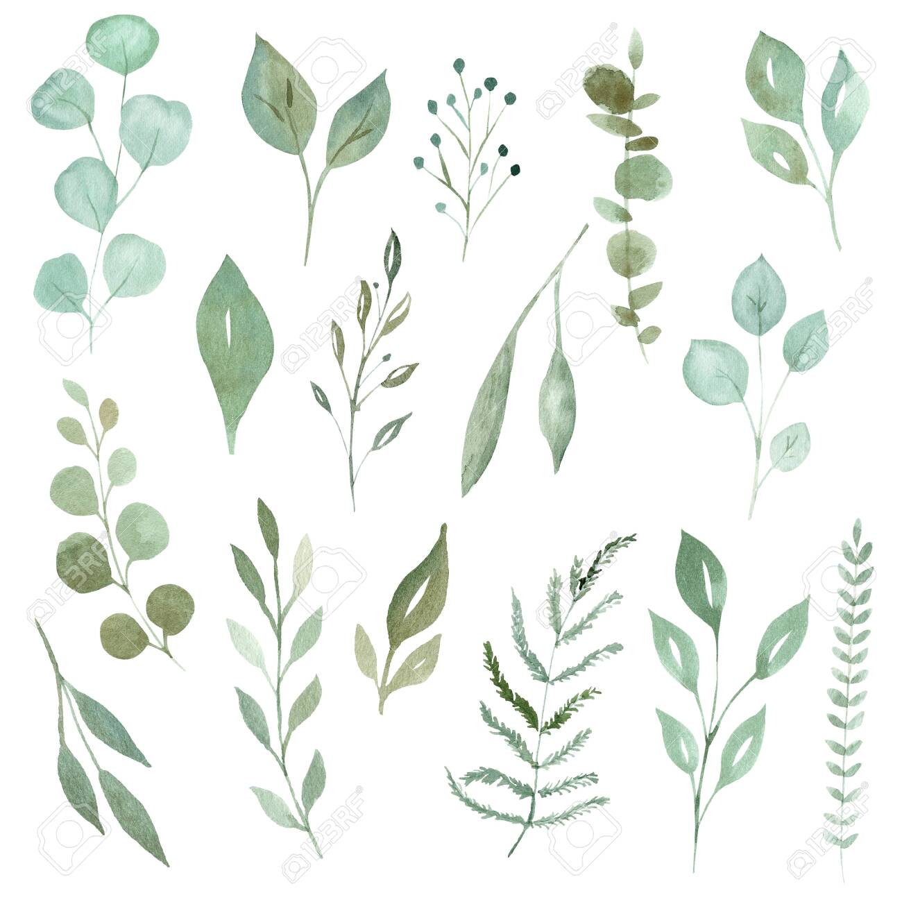 Watercolor Greenery Leaves And Branches Set Hand Drawn Illustration Isolated On White Background Stock Photo Picture And Royalty Free Image Image 152502434