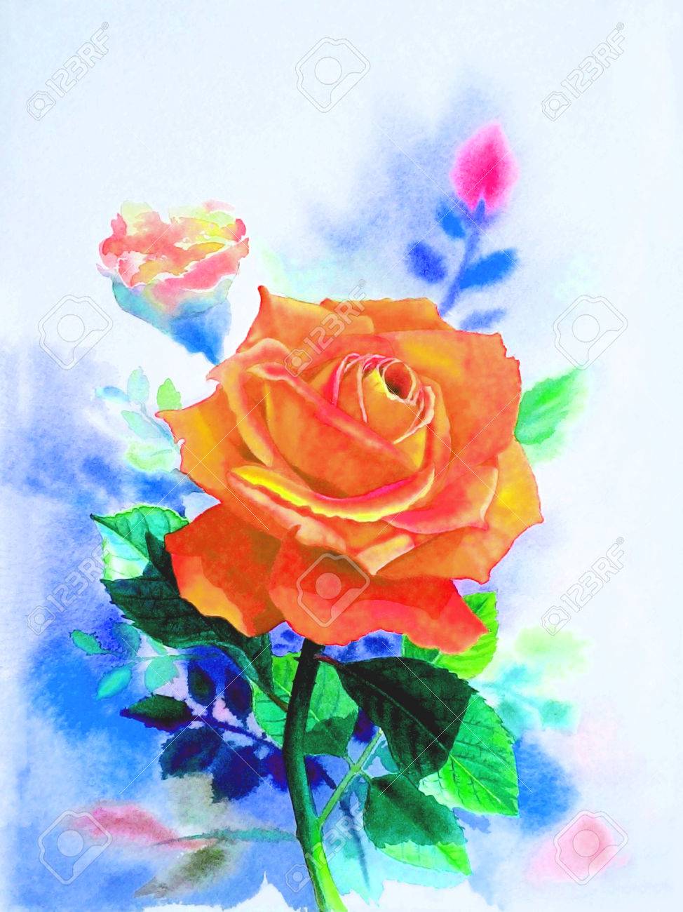 Aquarelle Peinture Réaliste Originale Couleur Rouge De Fleur Rose Et émotion Sur Fond Bleu
