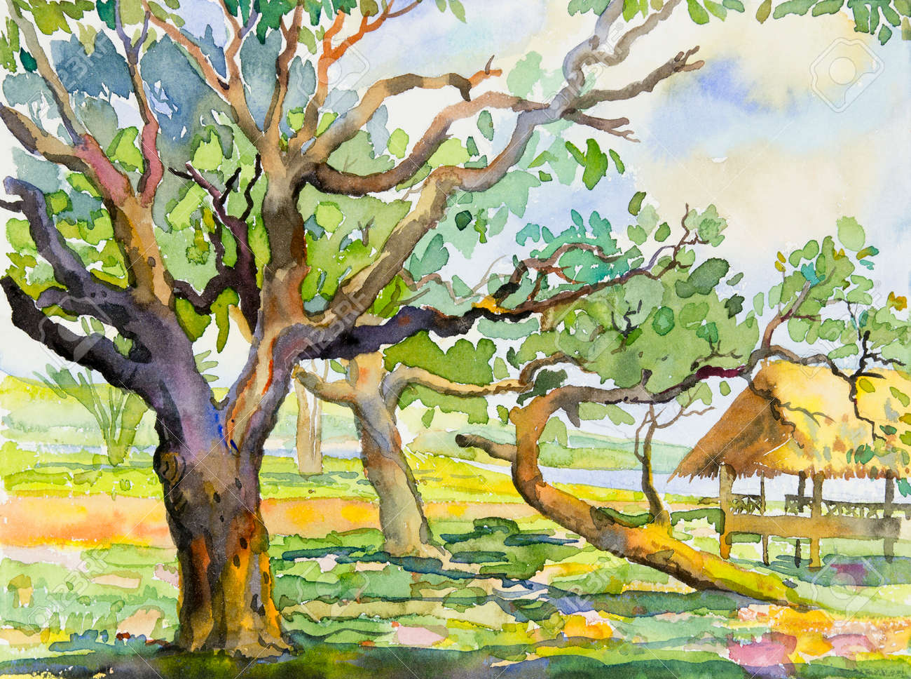 水彩画 自然の風景 木製フレーム （1420 「北海道の大樹