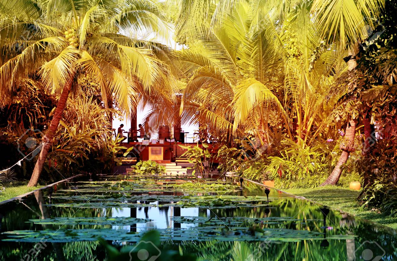 Foto retrò giardino paradiso tropicale con laghetto foto royalty ... Giardino con laghetto