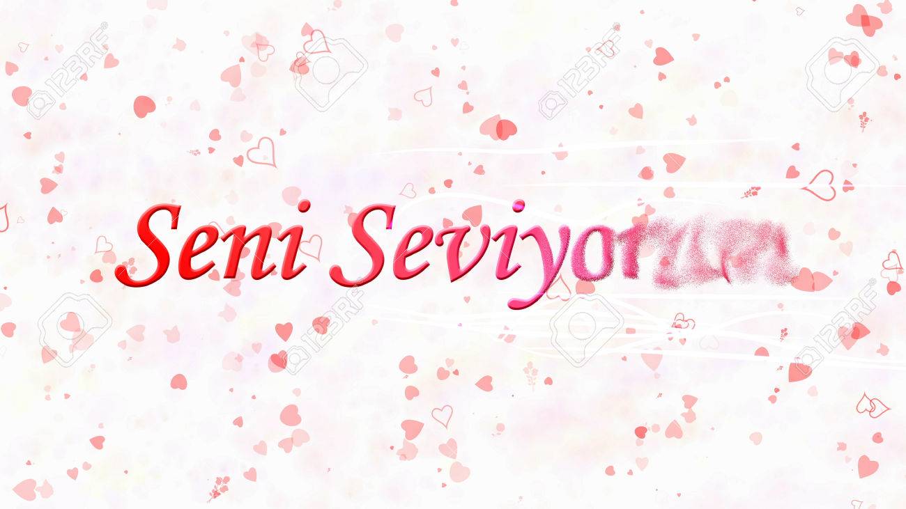 Je T Aime Texte En Turc Seni Seviyorum Se Transforme En Poussiere Horizontalement A Partir De La Droite Avec Des Bandes En Mouvement Sur Fond Blanc Avec Des Coeurs Et Des Roses Banque