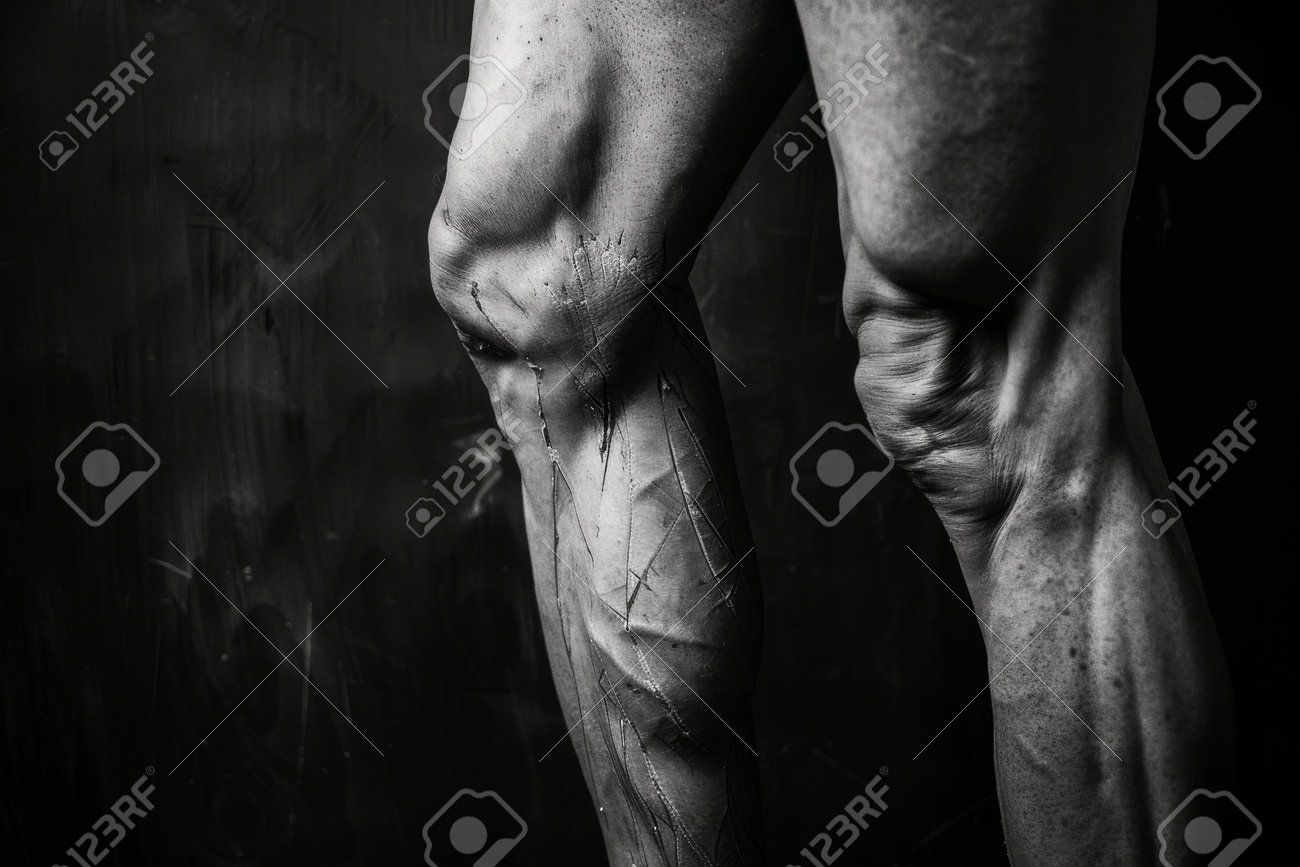 etiam-dictum-ipsum-a-felis