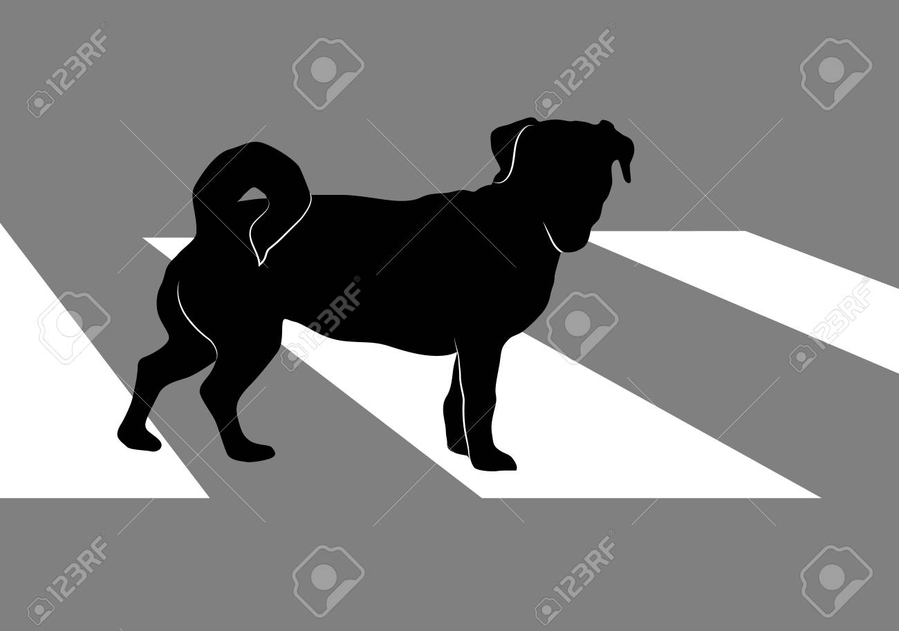 Silhouette Of Small Dog Jack Russell Terrier Crossing City Road On A Crosswalk The Dog Standing On Thr Street Royalty Free Cliparts Vectors And Stock Illustration Image