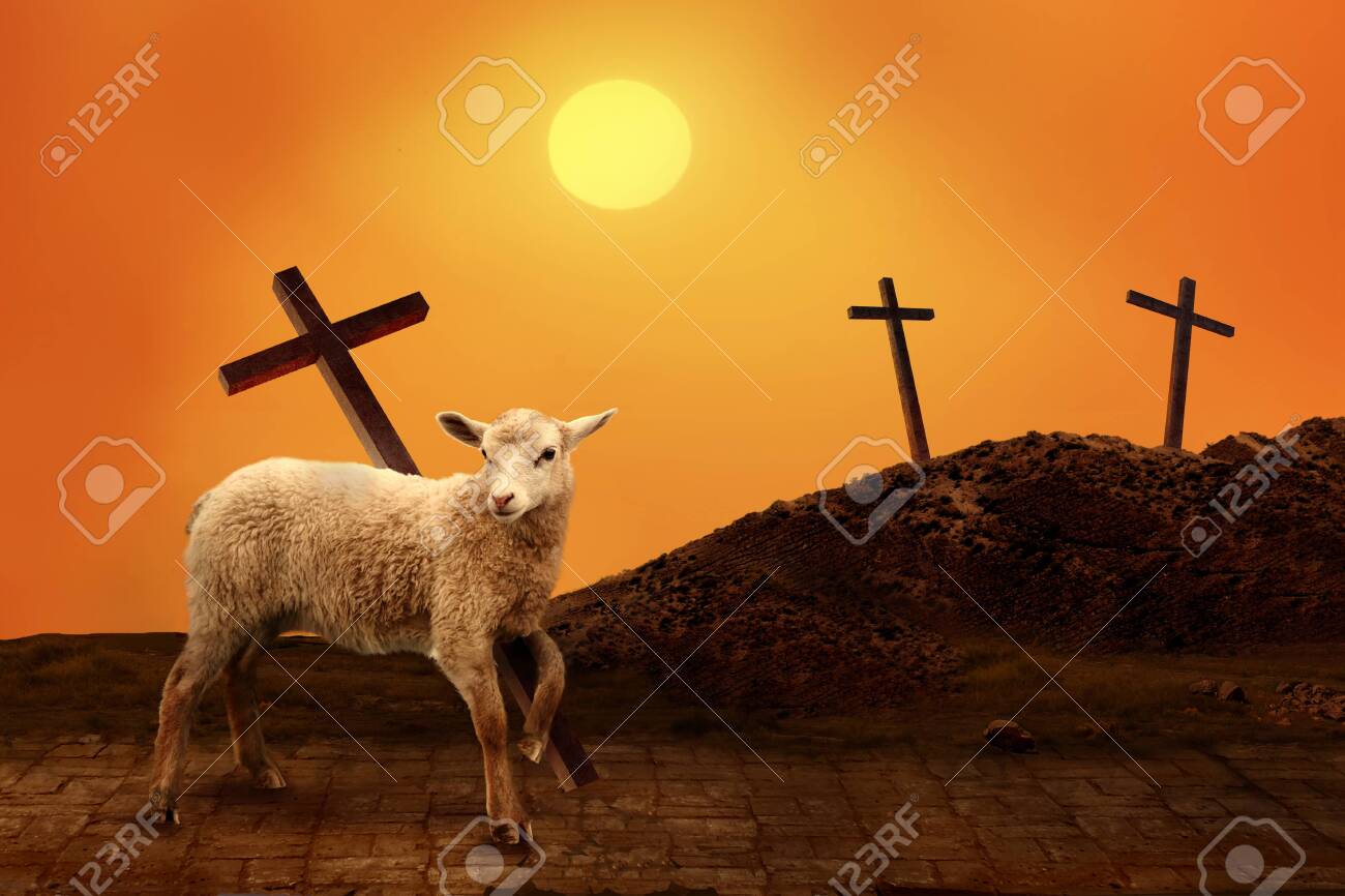 lamb of god jesus christ