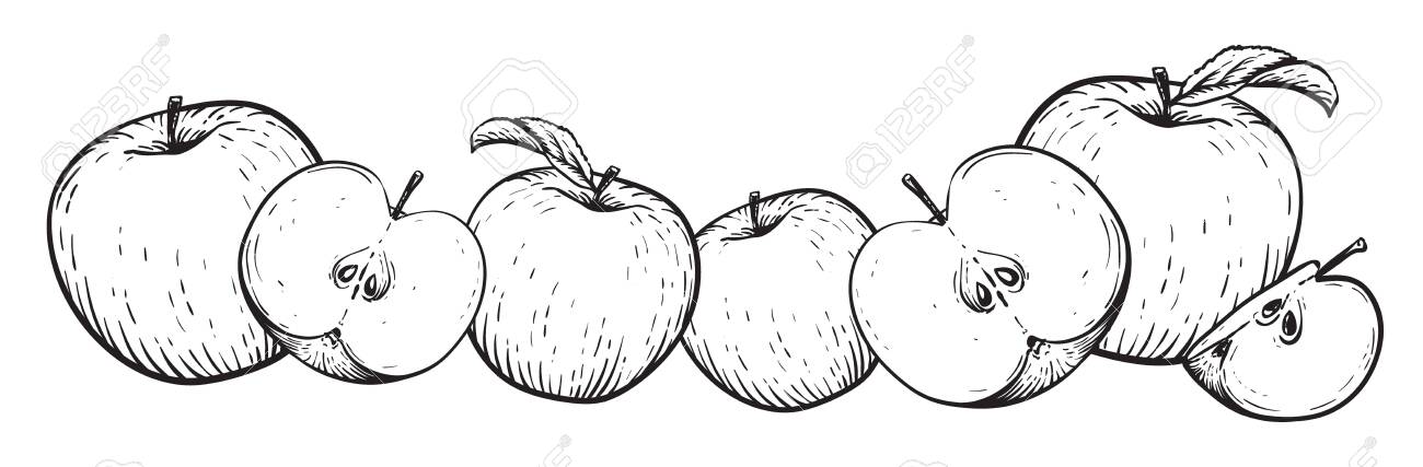 Apple Fruit Vector Set Frame Of Black White Apples Engraved Royalty Free Cliparts Vectors And Stock Illustration Image 140743001