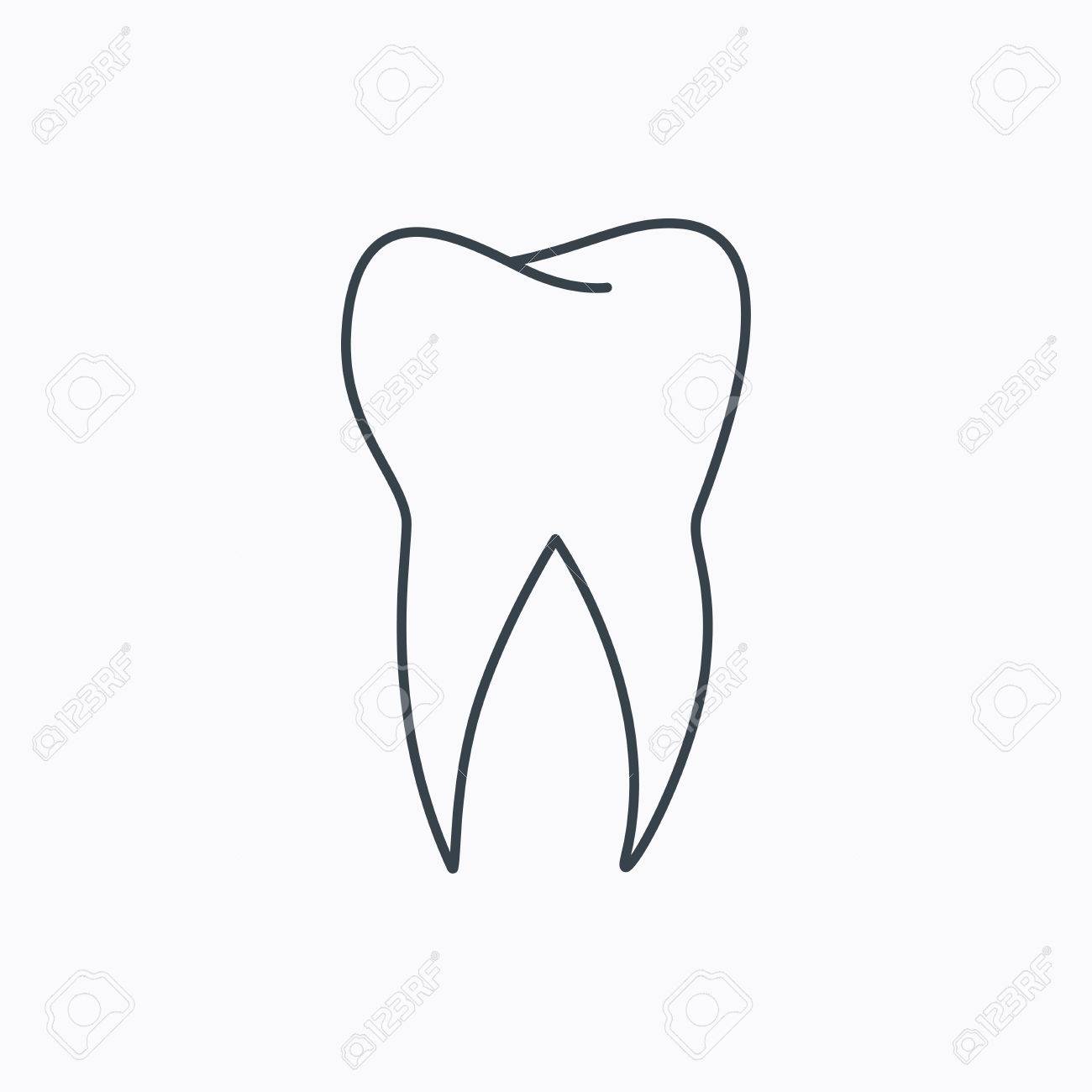 Tooth Icon Dental Stomatology Sign Dentistry Symbol Linear Royalty Free Cliparts Vectors And Stock Illustration Image