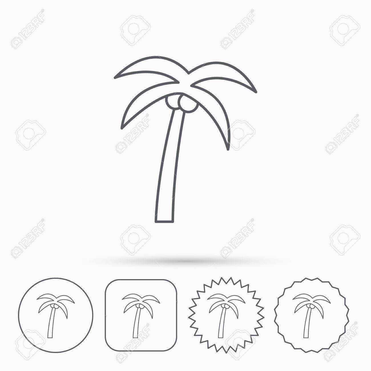ココナッツ アイコンとヤシの木 旅行や休暇のシンボル 自然環境の記号 線形サークル スクエア アイコンと星のボタン のイラスト素材 ベクタ Image