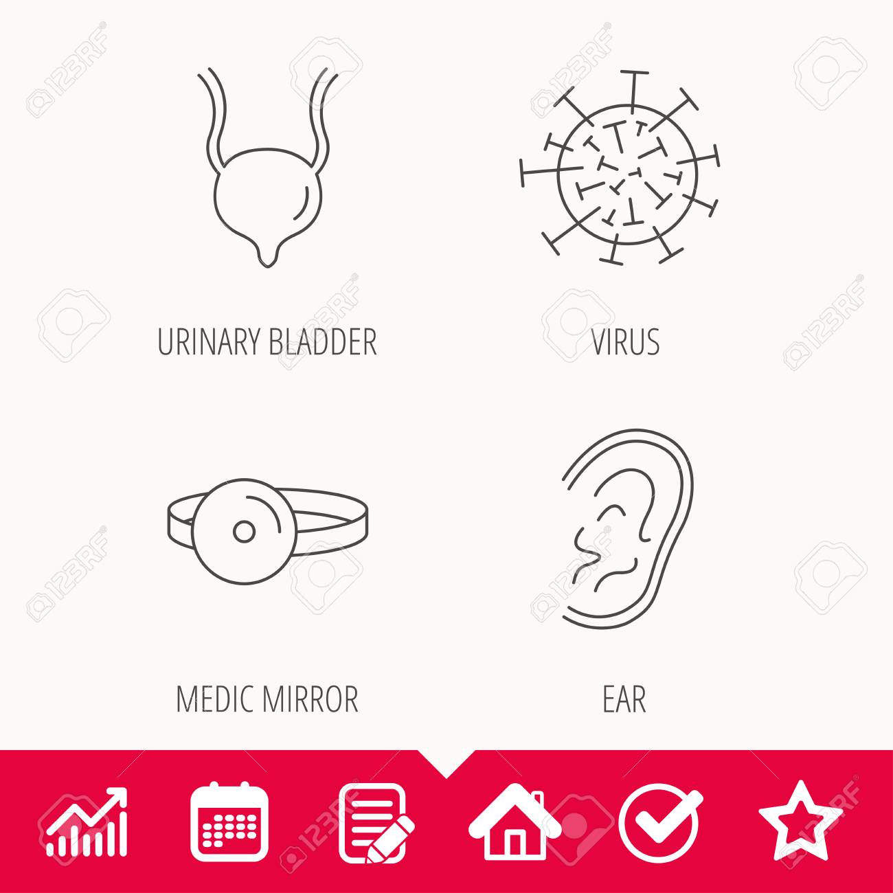 Virus Bexiga Urinaria E Icones De Orelha Sinais Lineares Espelho Medico Edite Os Sinais Do Grafico Do Documento Do Calendario E Do Grafico Star Check E House Icones Da Web Vetor Ilustraciones