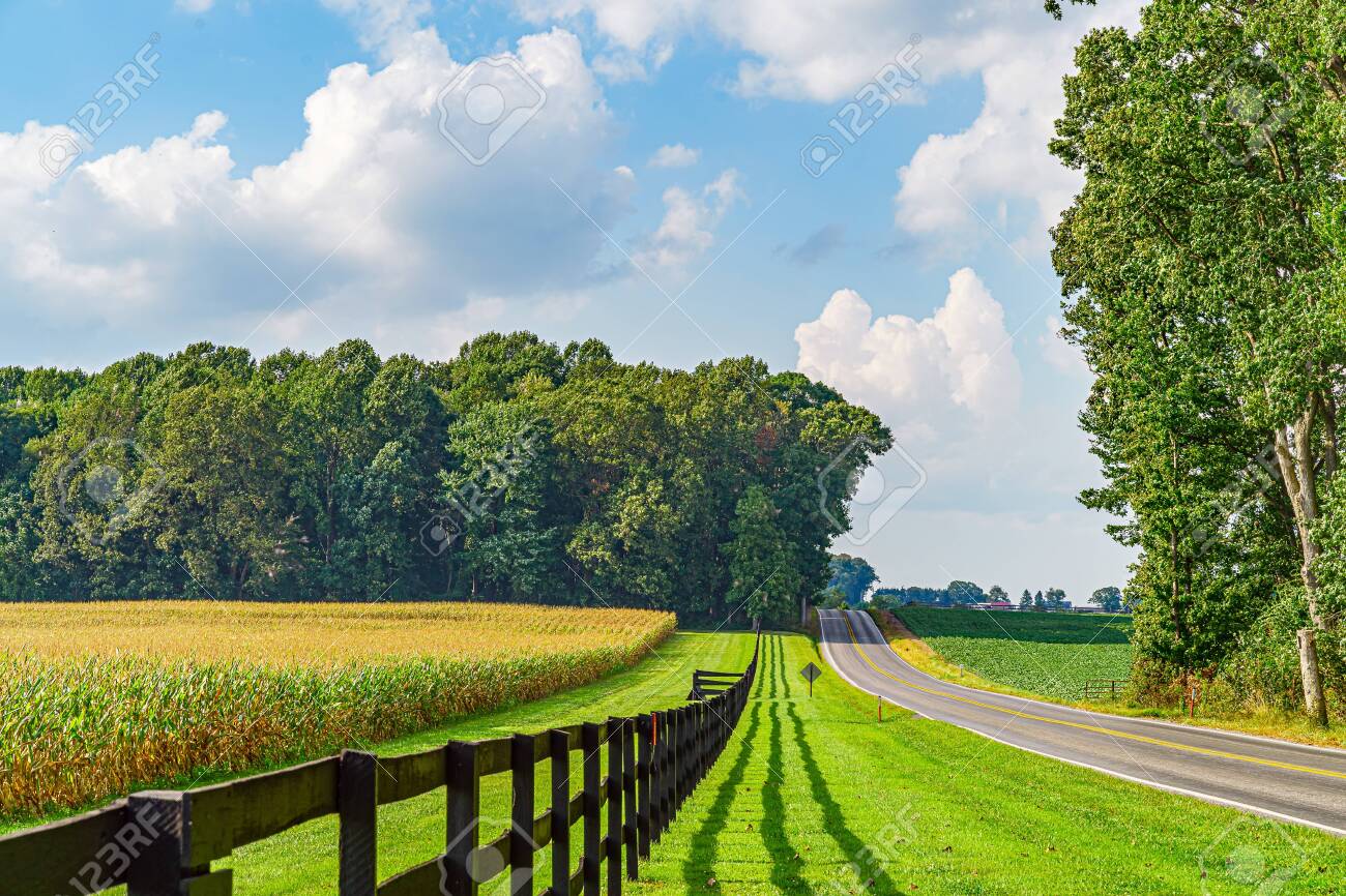Amish Country Field Agriculture, Beautiful Brown Wooden Fence, Farm, Barn  In Lancaster, PA US. Stock Photo, Picture and Royalty Free Image. Image  142417146., image size:1300x866