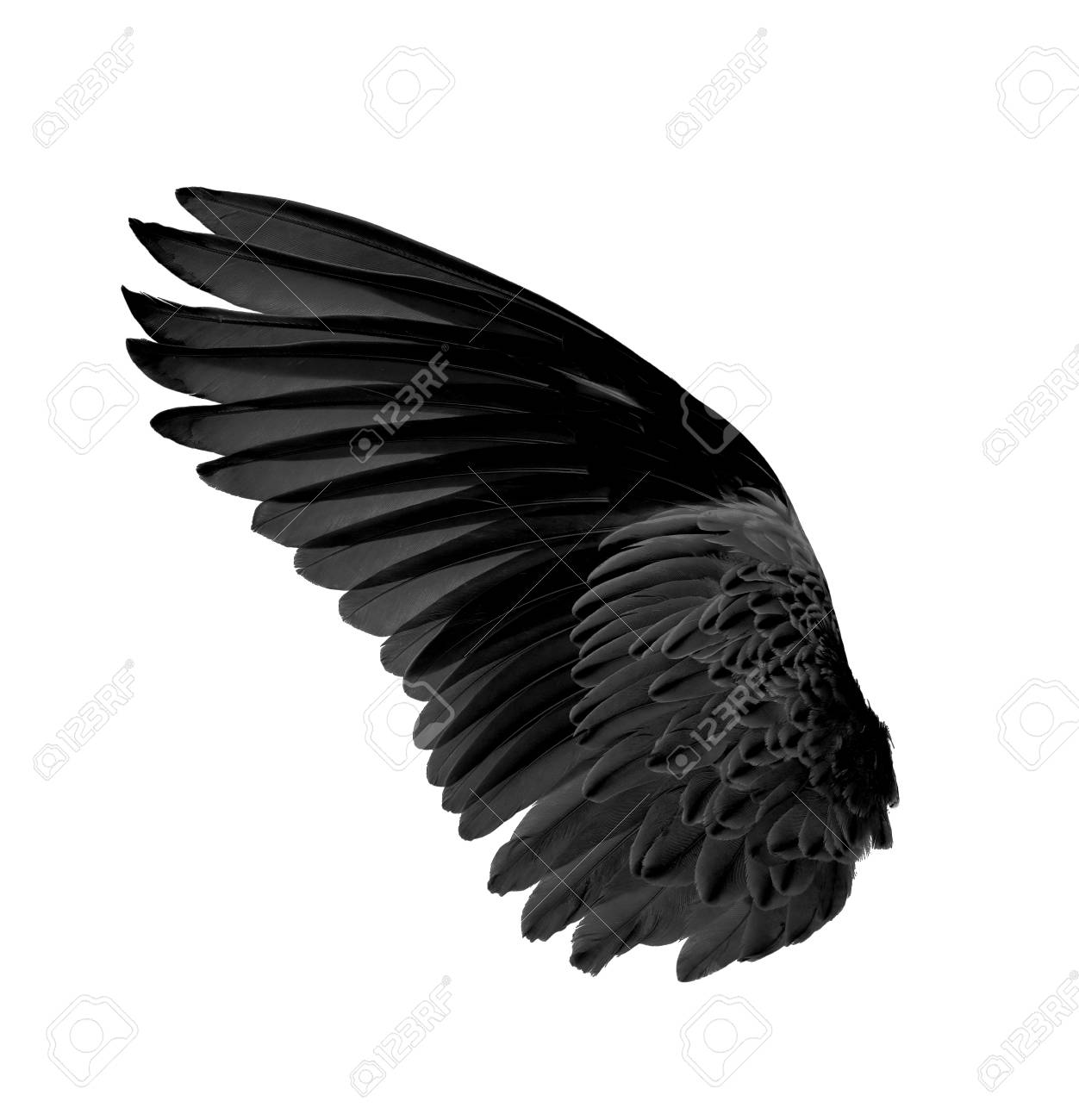 Black Wings On White Background Stock Photo, Picture and Royalty