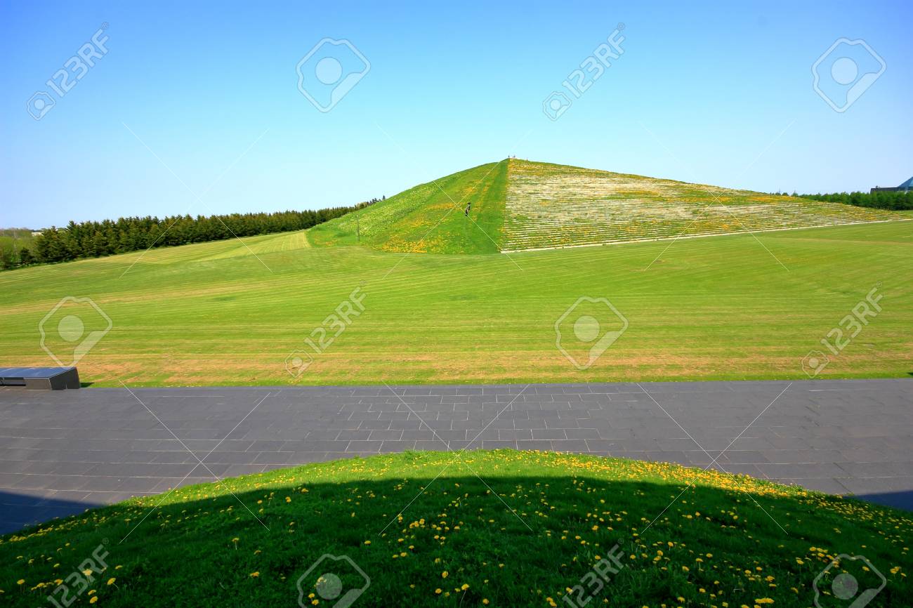 etiam-dictum-ipsum-a-felis