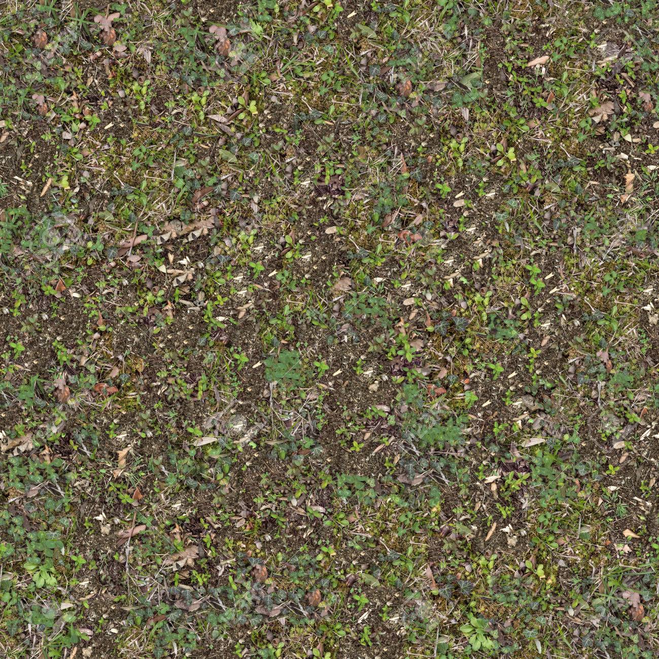 土の上の若い緑の植物 シームレスなタイルのテクスチャです の写真素材 画像素材 Image