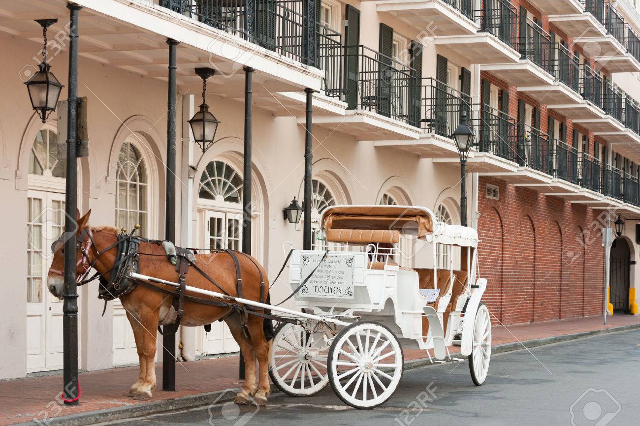horse carriage ride new orleans