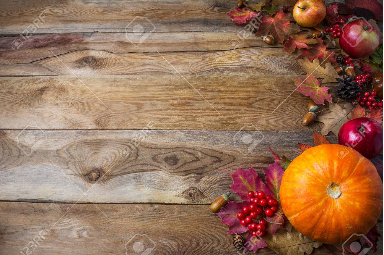 thanksgiving or fall greeting background with pumpkins and fall