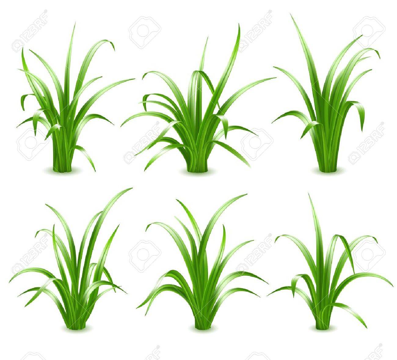 set of green grass vector illustration royalty free cliparts free grass vector