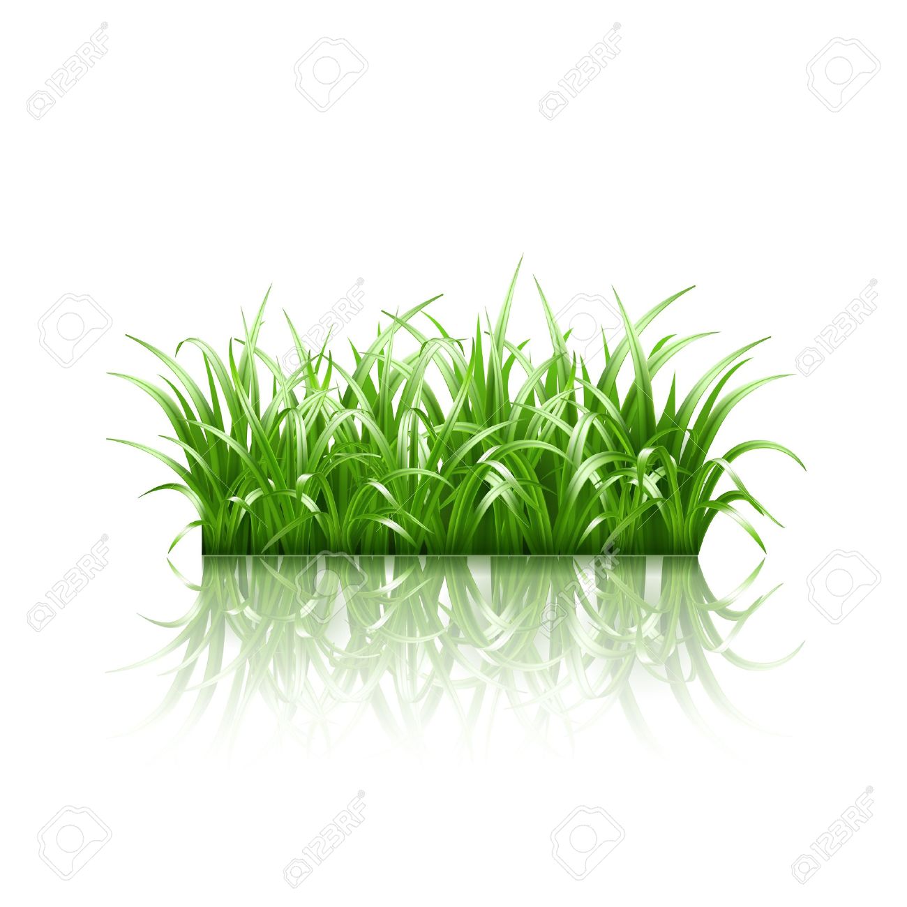 free grass vector