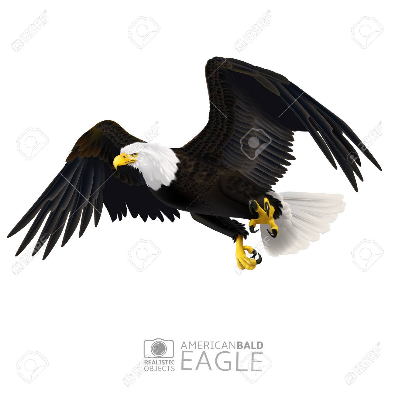 Une Illustration Vectorielle D Aigle Chauve Americain En Vol Isole Sur Fond Blanc Clip Art Libres De Droits Vecteurs Et Illustration Image