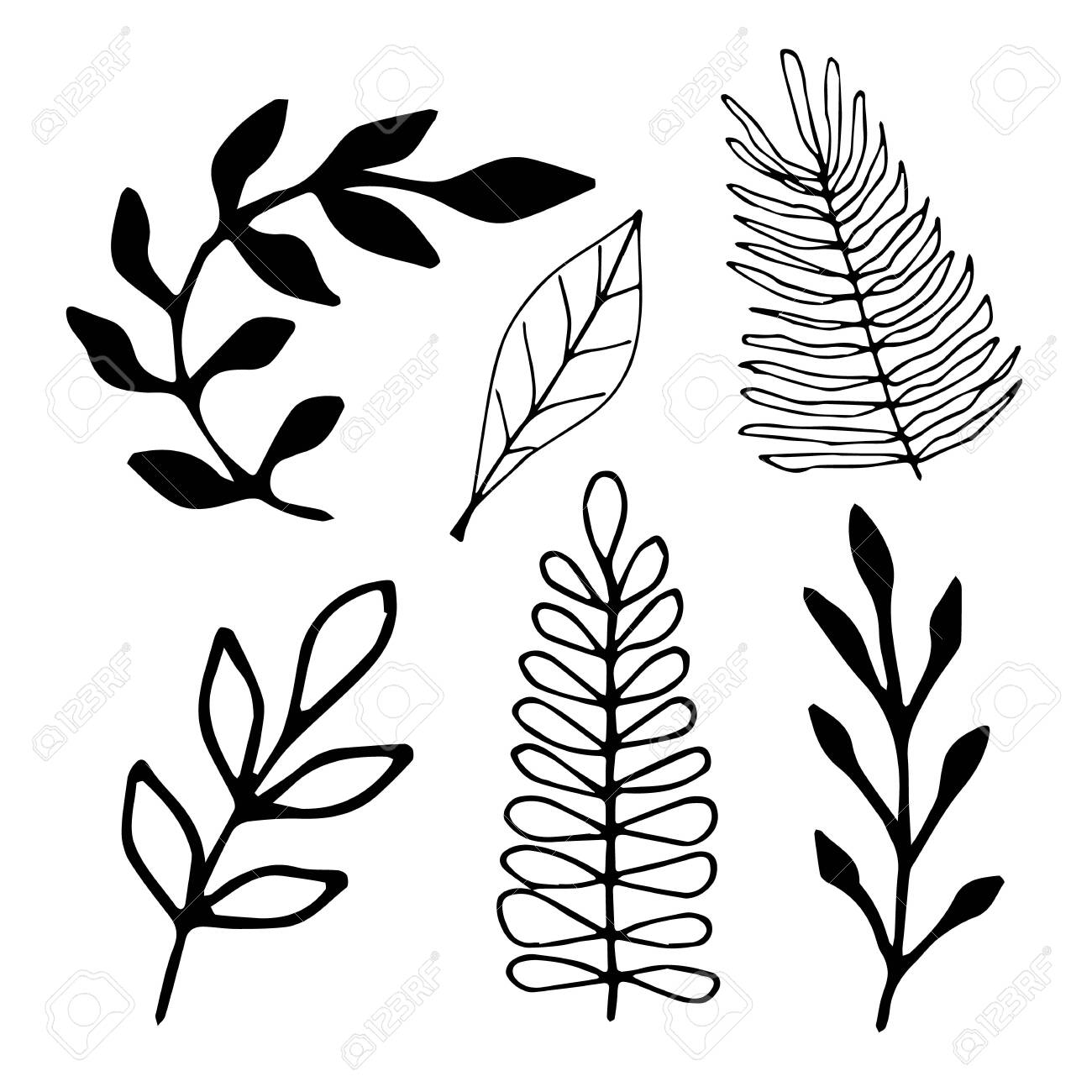 Serve With Leaves. Botanical Illustration. Black And White Engraved Ink  Art. Leaves Of Plants Of A Botanical Garden, Flower Foliage. Isolated Leaf  Illustration Element. Vector Design Elements. Royalty Free SVG, Cliparts,  Vectors,, image size:1300x1300