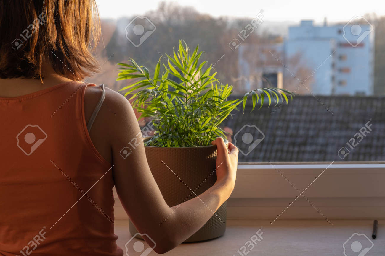 a young girl stands at the window in quarantine, misses walking - 158925443 a young girl stands at the window in quarantine, misses walking - 158925443