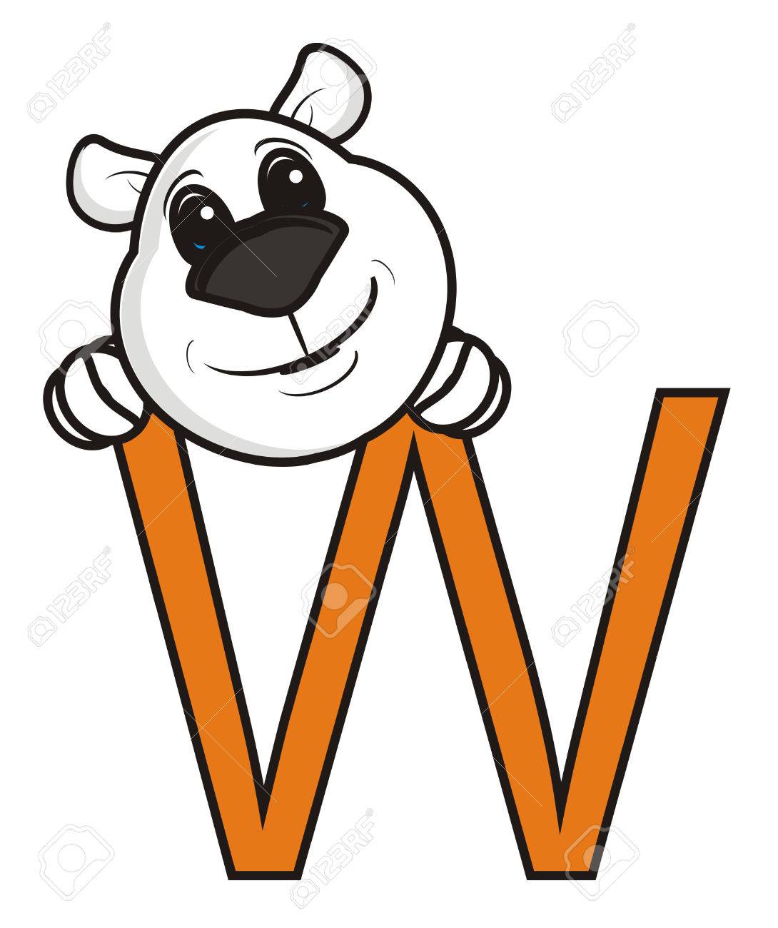 シロクマの銃口が W の文字の中で突出してください の写真素材 画像素材 Image