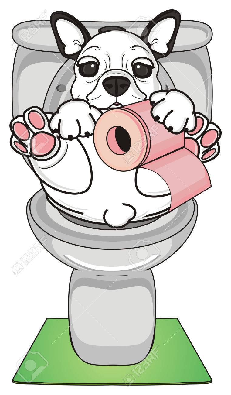 フレンチ ブルドッグ灰色の便座に座るし 彼の足でトイレット ペーパーのロールを保持 の写真素材 画像素材 Image