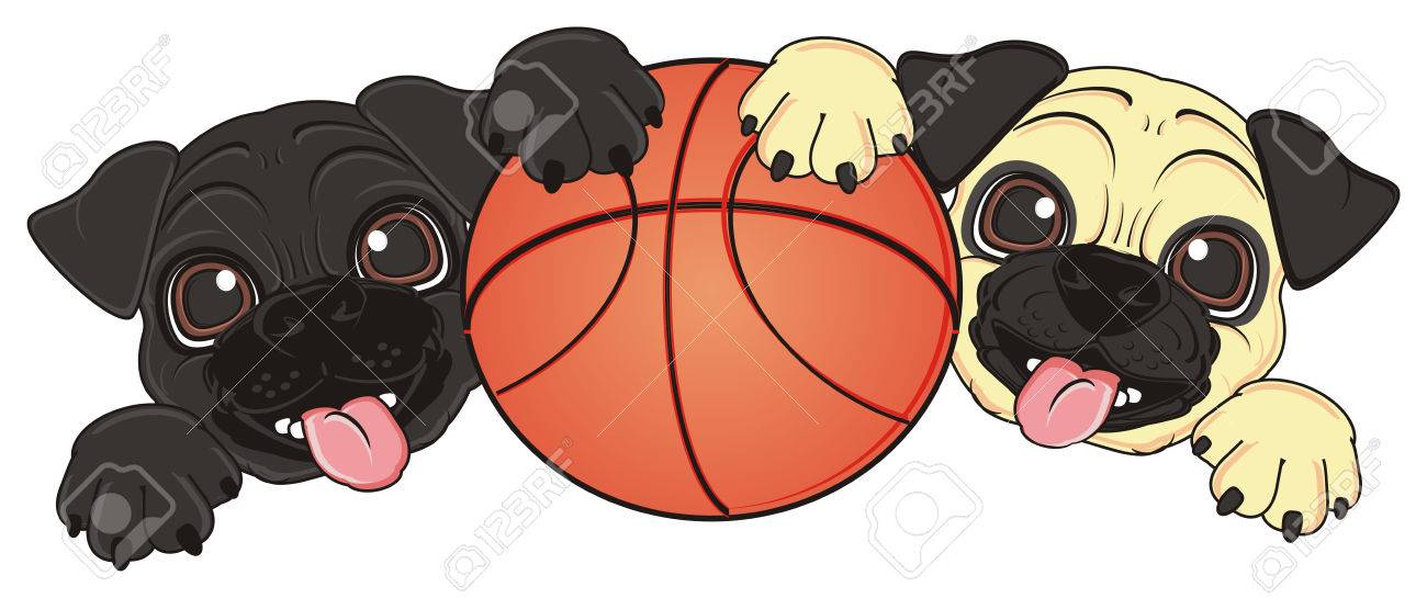 Pair Of Pugs With Large Basketball Stock Photo Picture And Royalty Free Image Image 72283038