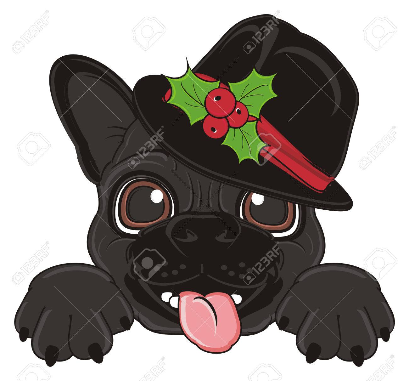 muzzle of black french bulldog in black christmas hat stock photo