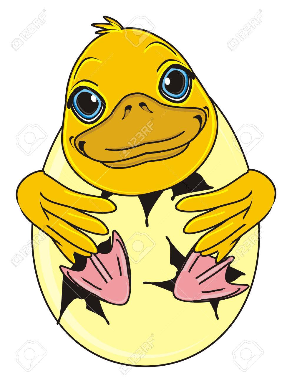 アヒルの卵から生まれた の写真素材 画像素材 Image