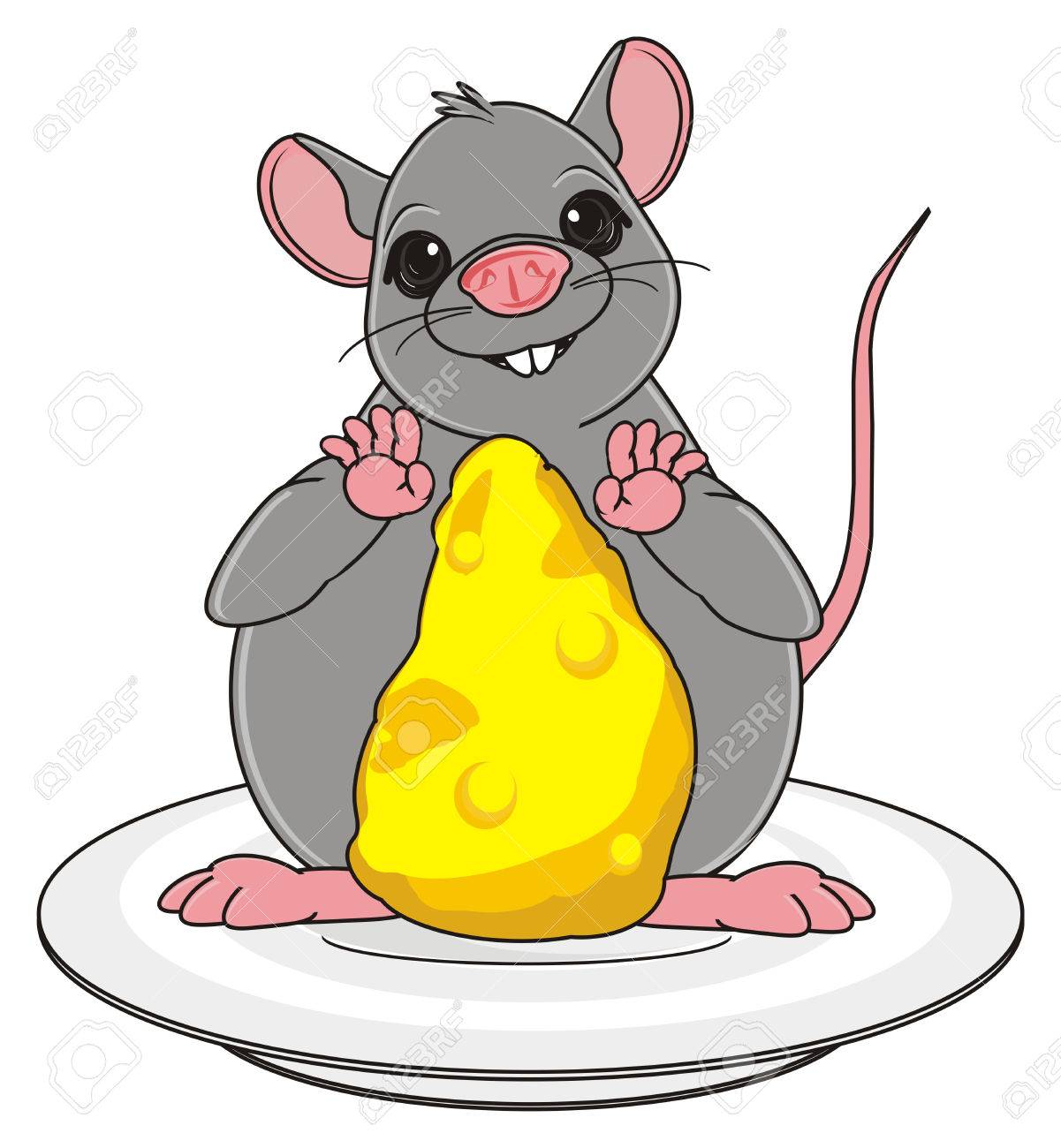 fat rat with cheese stand on the plate stock photo picture and