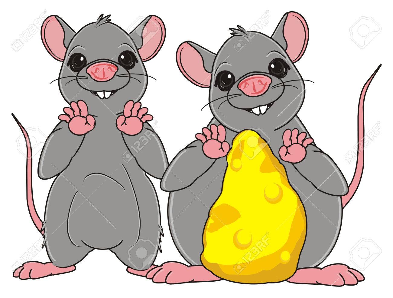 skinny rat stand with fat rat with a cheese stock photo picture and