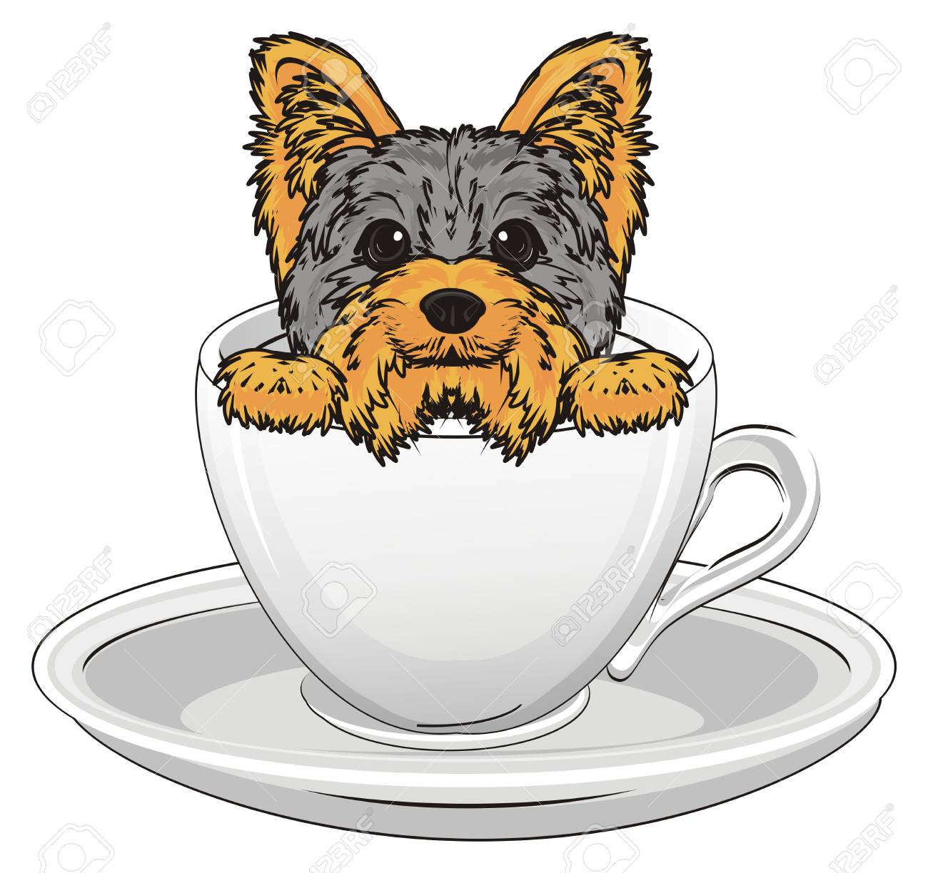 muzzle for yorkshire terrier