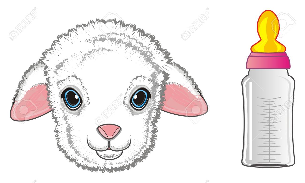 lamb muzzle