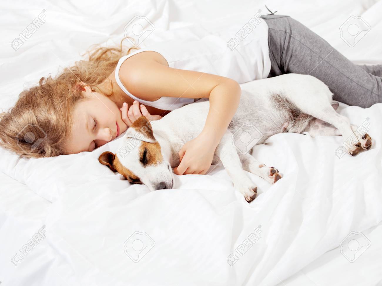 犬と寝ている子供 自宅でペットと女の子 の写真素材 画像素材 Image