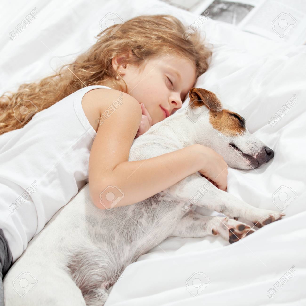 feliway friends diffuser