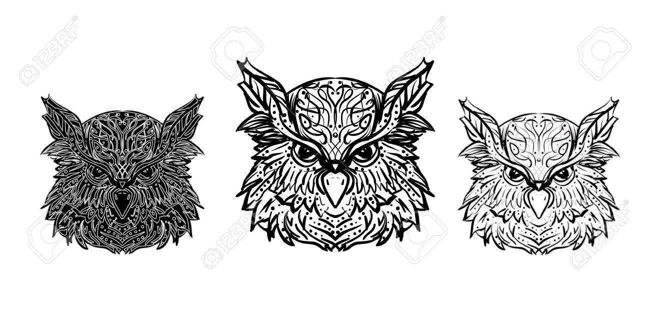 フクロウベクトルイラストセットの白黒ヘッドの3つのバリエーションをドラフトのイラスト素材 ベクタ Image フクロウベクトルイラストセットの白黒ヘッドの3つのバリエーションをドラフトのイラスト素材 ベクタ Image