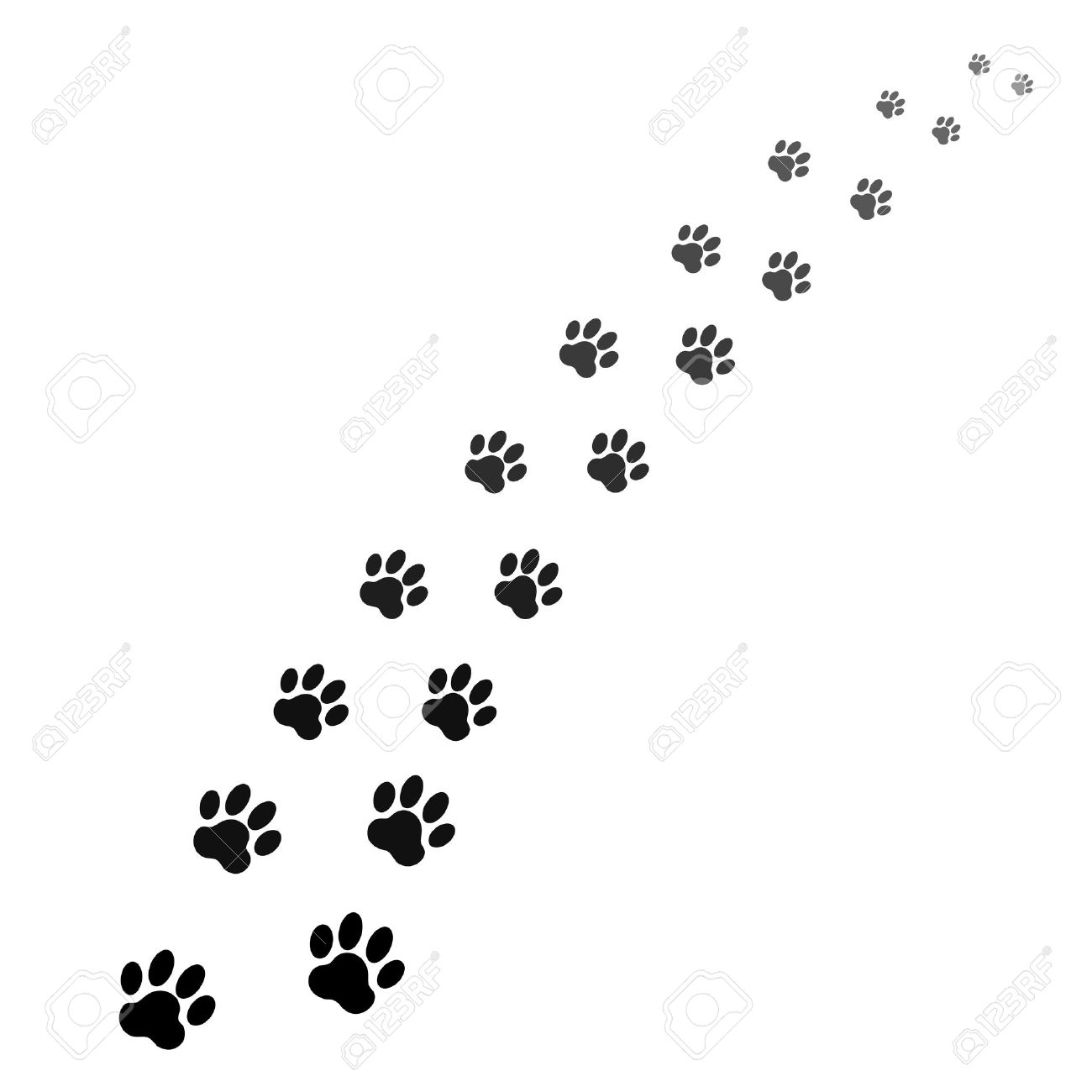 犬の足跡 のイラスト素材 ベクタ Image