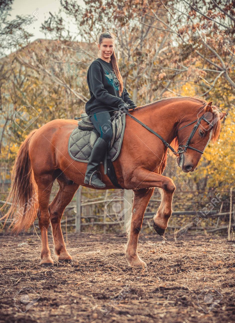 Ебет лошадь Молодая Красивая Брюнетка Девушка Едет На Лошади На Теплый И Солнечный Осенний День. Портрет Довольно Молодая Женщина На Лошади, Носить Высокие Сапоги И Перчатки. Фотография, картинки, изображения и сток-фотография без роялти. Image