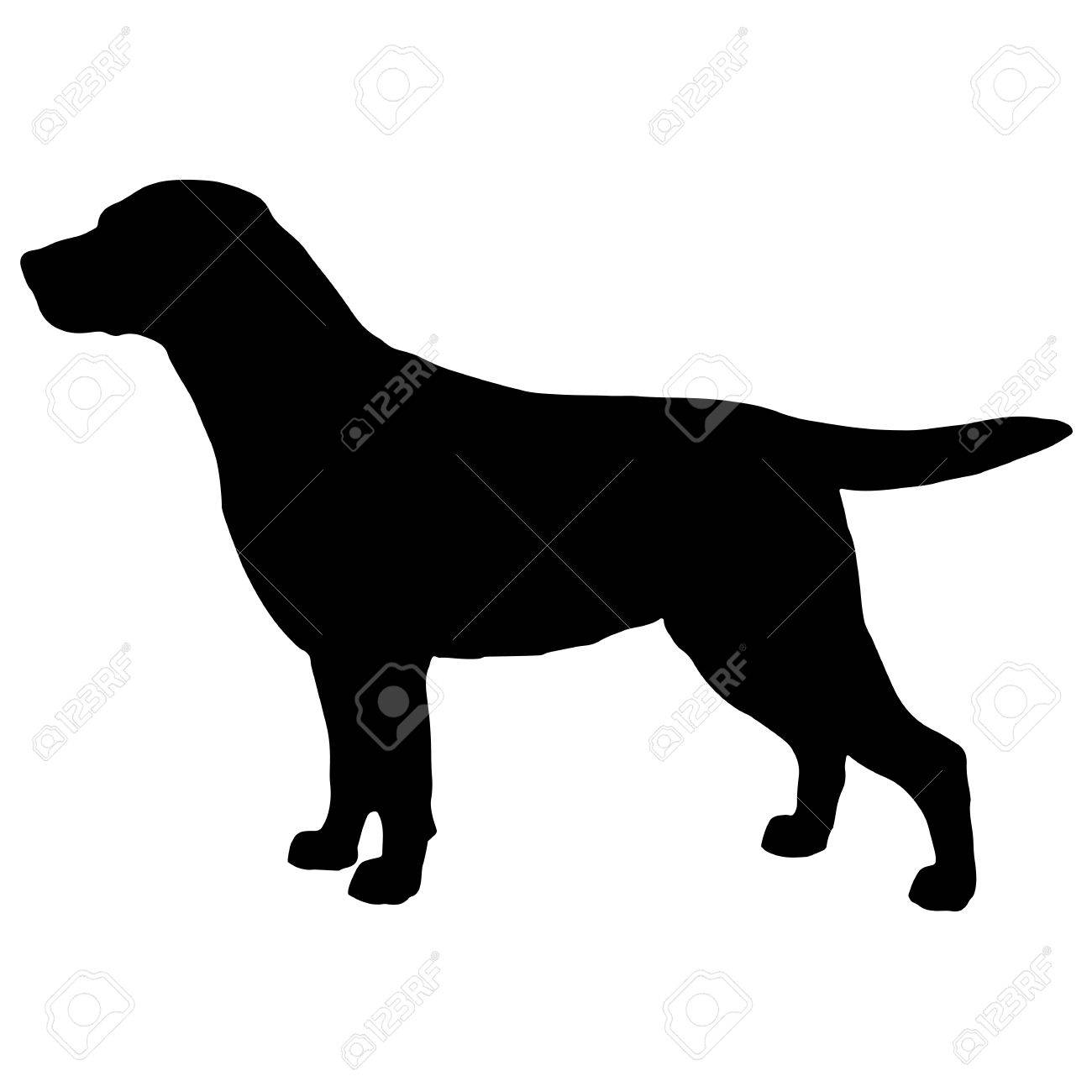 犬のラブラドールの黒と白のシルエット のイラスト素材 ベクタ Image 犬のラブラドールの黒と白のシルエット のイラスト素材 ベクタ Image