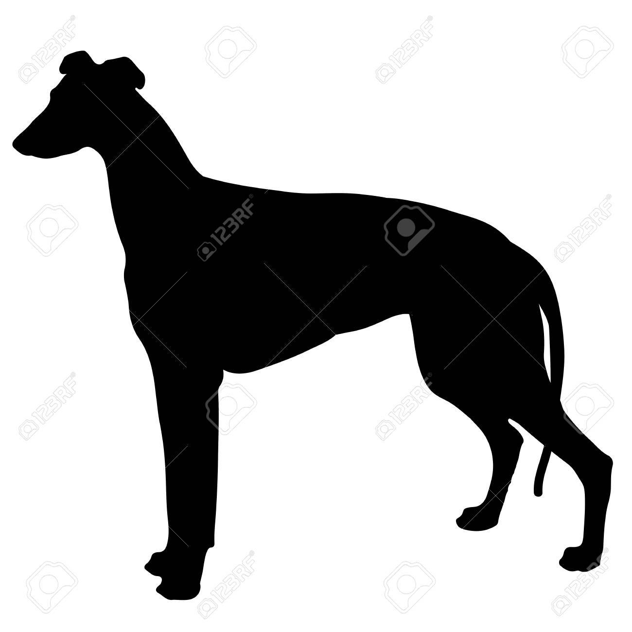犬のシルエット 黒と白のグレイハウンドのイラスト素材 ベクタ Image 犬のシルエット 黒と白のグレイハウンドのイラスト素材 ベクタ Image