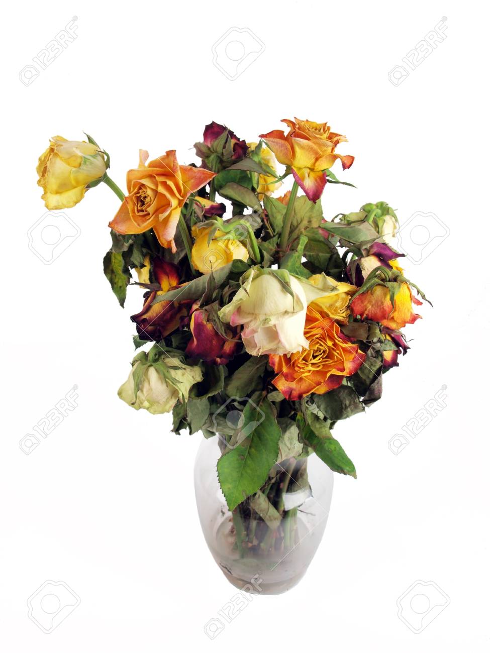 A Bouquet Of Dried Roses In A Clear Glass Vase Stock Photo