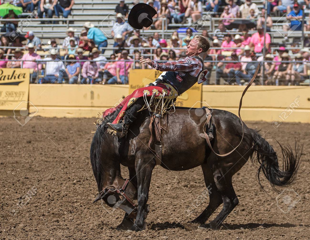 乗馬バッキングブロンコ レッド ブラフのロデオ カリフォルニア州 の写真素材 画像素材 Image 乗馬バッキングブロンコ レッド ブラフのロデオ カリフォルニア州 の写真素材 画像素材 Image