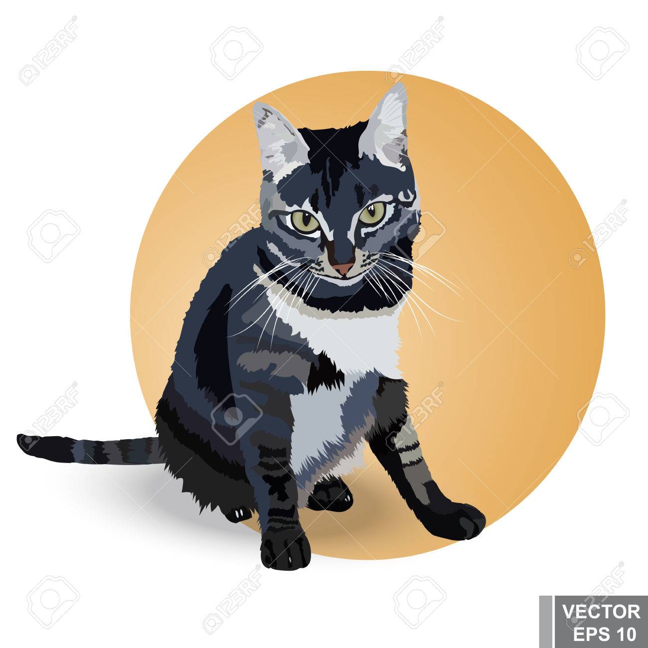 リアルな猫 美しいグレー 見て座っています あなたのデザイン のイラスト素材 ベクタ Image