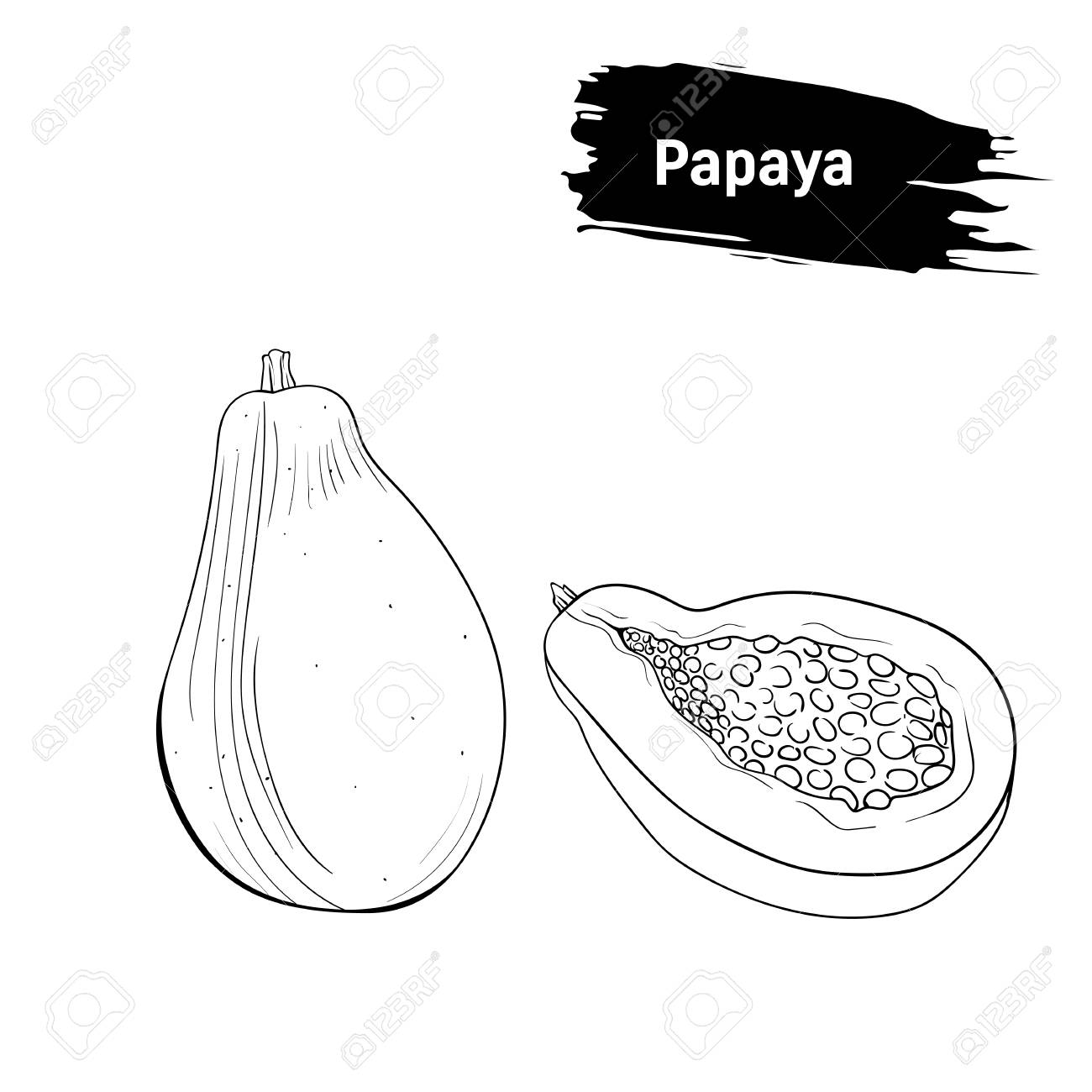 Black And White Sketch Of Exotic Fruit. Papaya Contour Drawing ...