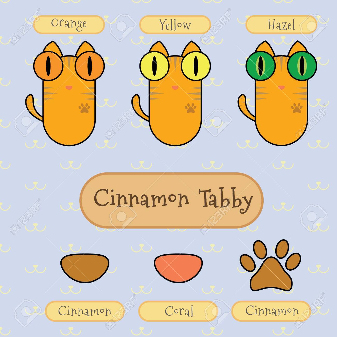 シナモン Tabby 猫 目の色 鼻の色と足のインフォ グラフィック表示詳細 のイラスト素材 ベクタ Image