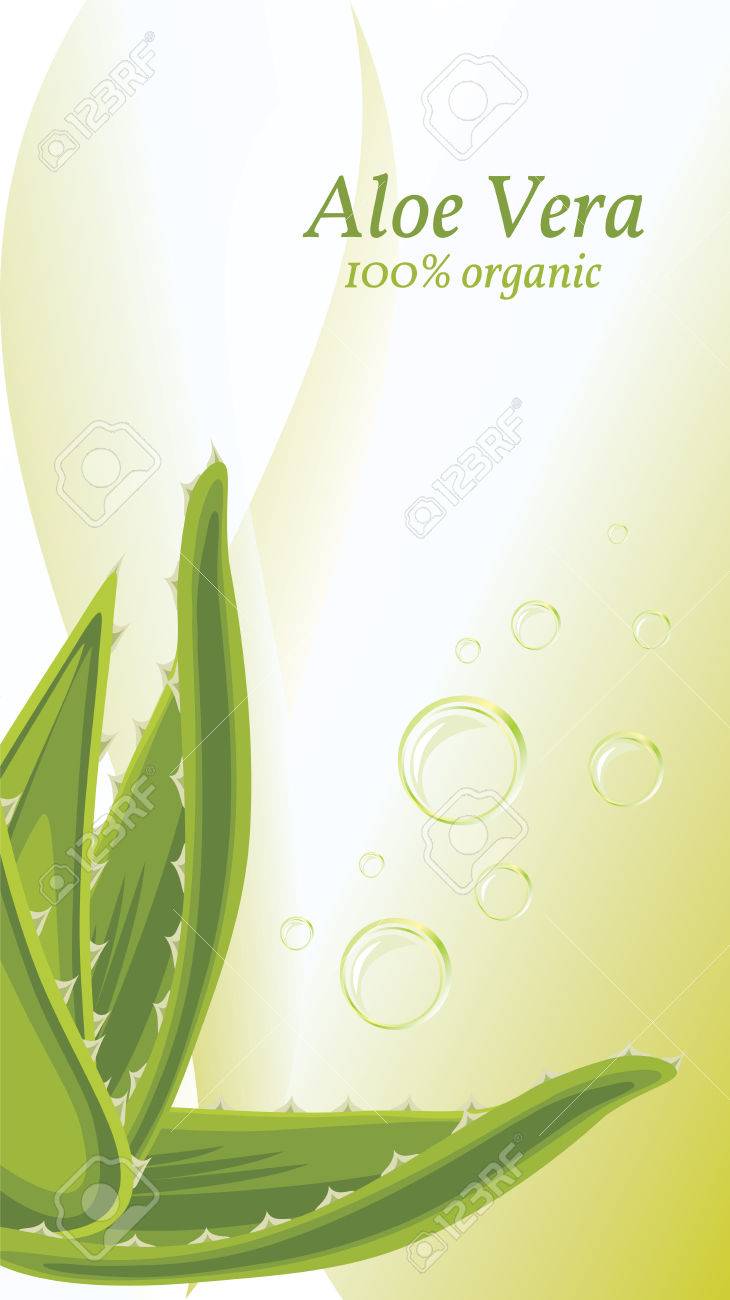 Aloe Vera On The Abstract Background With Bubbles Royalty Free Cliparts Vectors And Stock Illustration Image