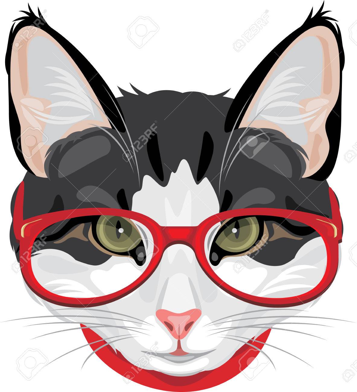 赤メガネで面白い猫の肖像画 のイラスト素材 ベクタ Image 赤メガネで面白い猫の肖像画 のイラスト素材 ベクタ Image